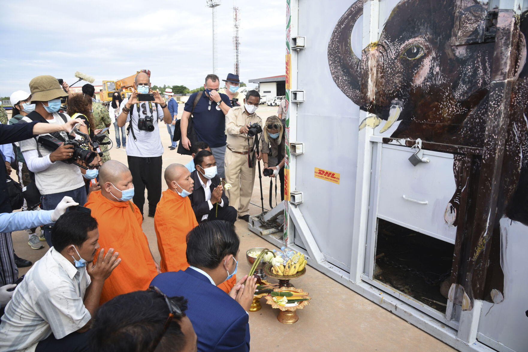 Kaavan the elephant